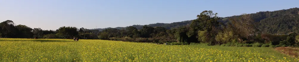 為自己閃耀一次