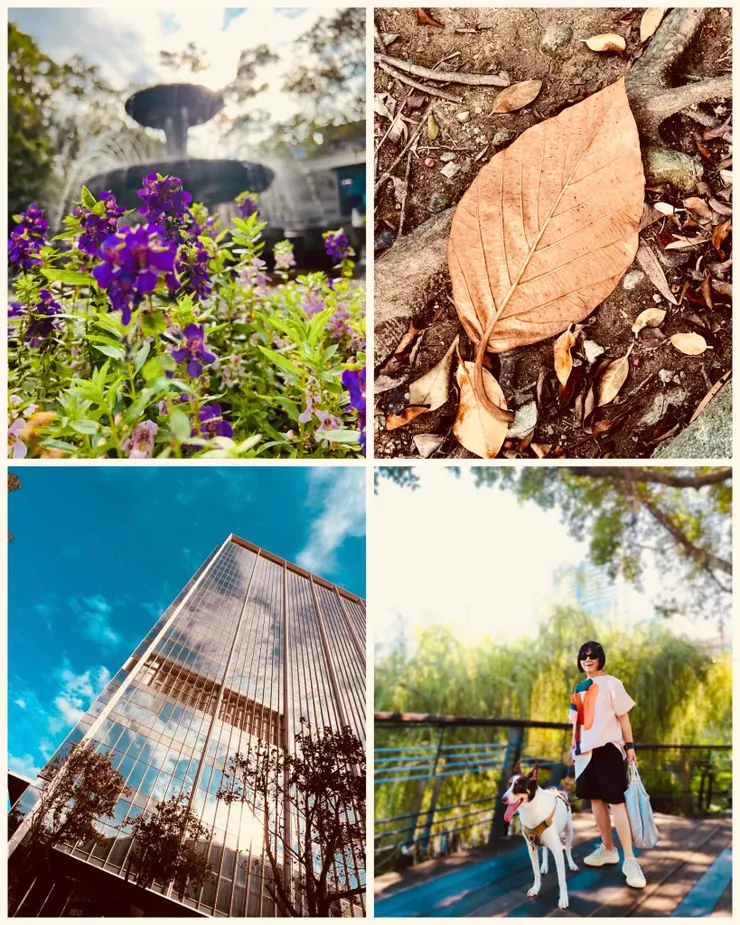 發現狗腿子的角度跟我一樣