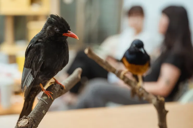 圖片來源:職名事