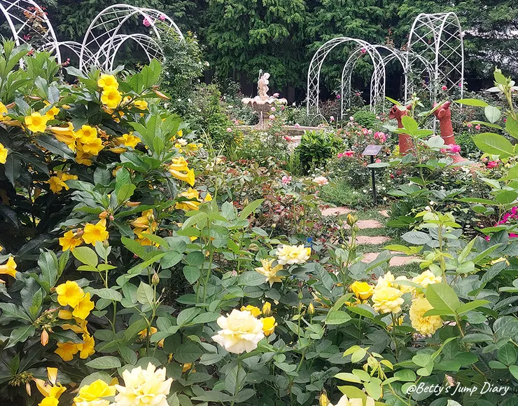 ▲桃園楊梅「雅聞魅力博覽館」/圖片來源:Betty's Jump Diary