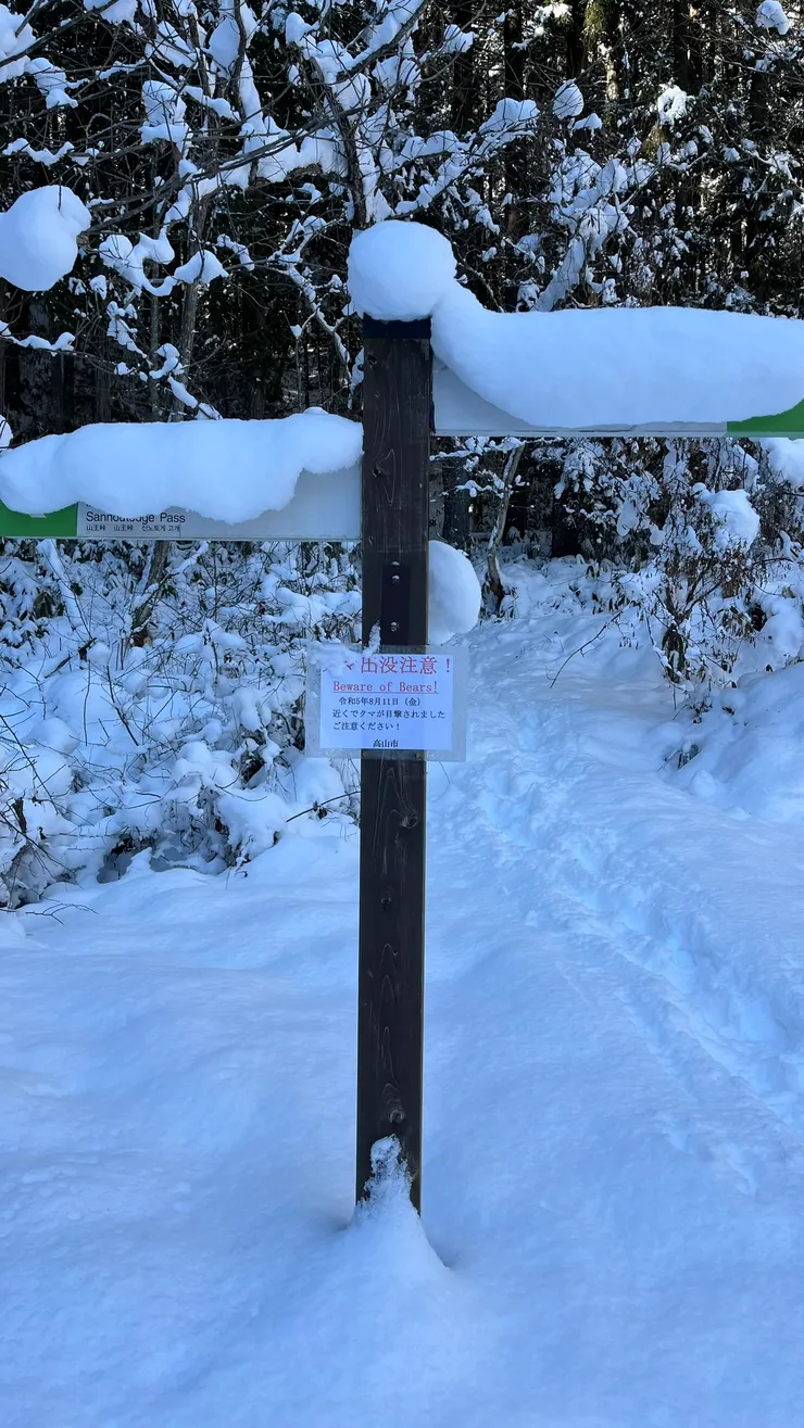 路牌的字已經看不到了，熊出現倒是很重要的訊息。