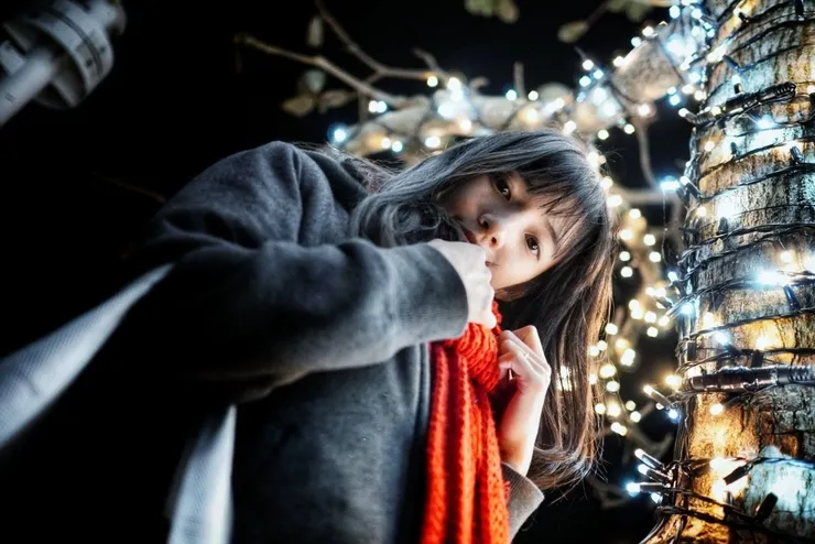 連樹都纏滿了燈