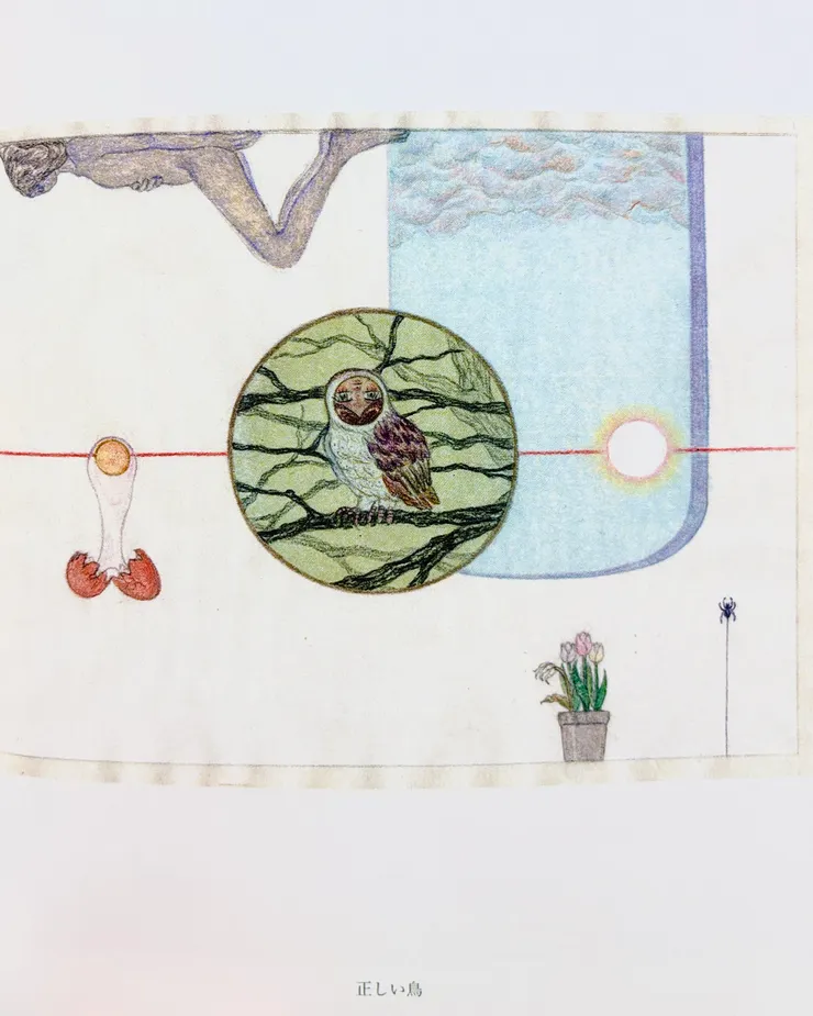 〈正しい鳥〉