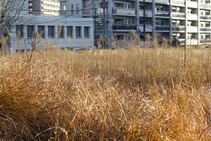 空地 (圖片來自Photo-ac)