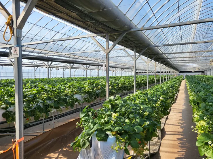 小松家農場園區