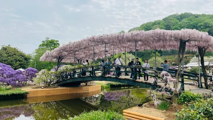 遠看橋很像一台花車。