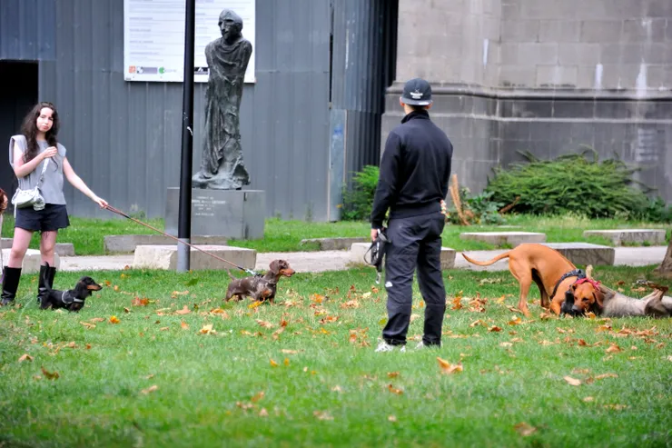 【吃飽後繼續漫遊！自己有養狗，就對可以遛狗的場所特加注意。】