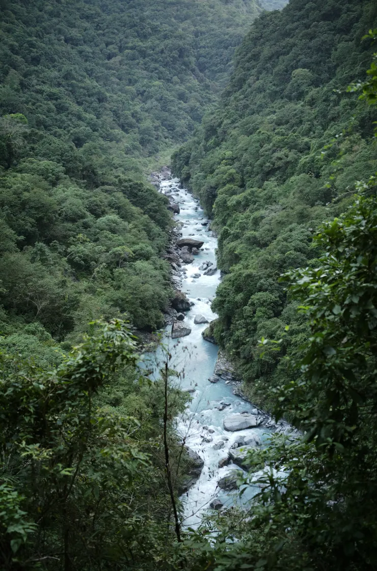 美麗的富源溪,發源自倫太文山,奔騰流過富源森林遊樂區,成為秀姑巒溪的源頭