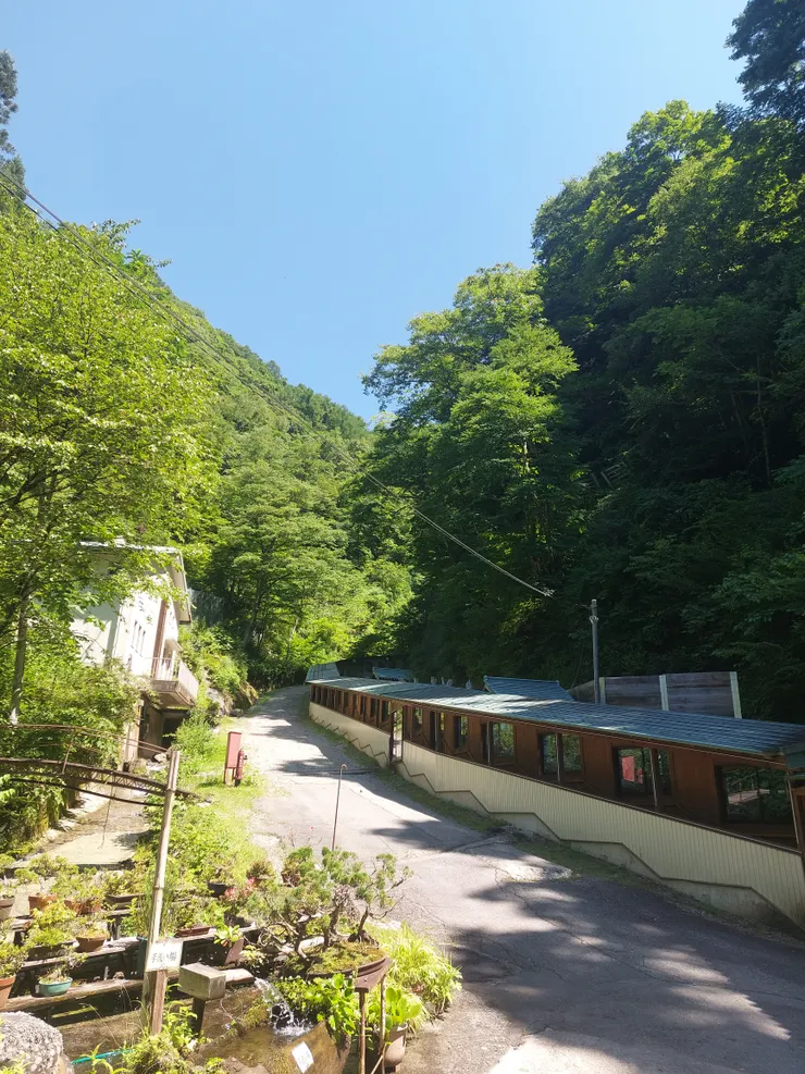 雖然是緩上坡，但其實蠻長的，也是要認真爬一陣子