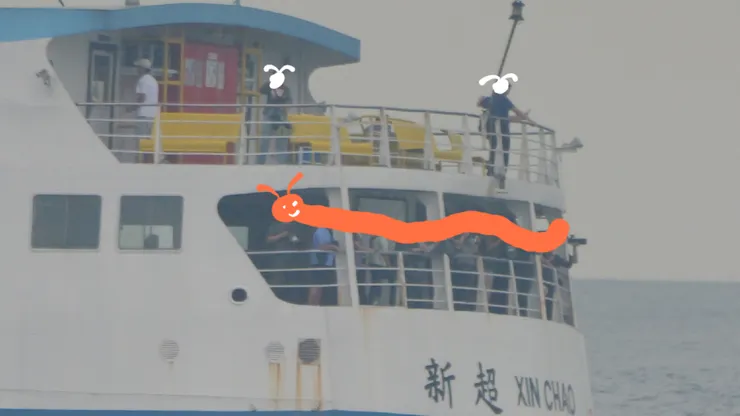 熱血的觀鳥者們