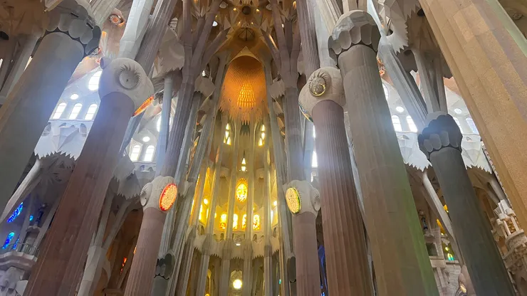 發想自植物的莖、花、葉的造型