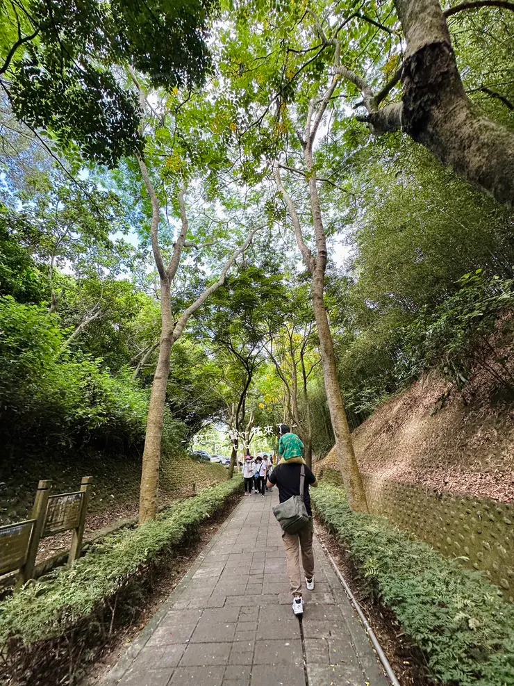 舒適的步道也適合輪椅推行 非常無障礙~季節對的話有美麗的不同景觀。我們看到好幾株黃澄澄阿勃勒。