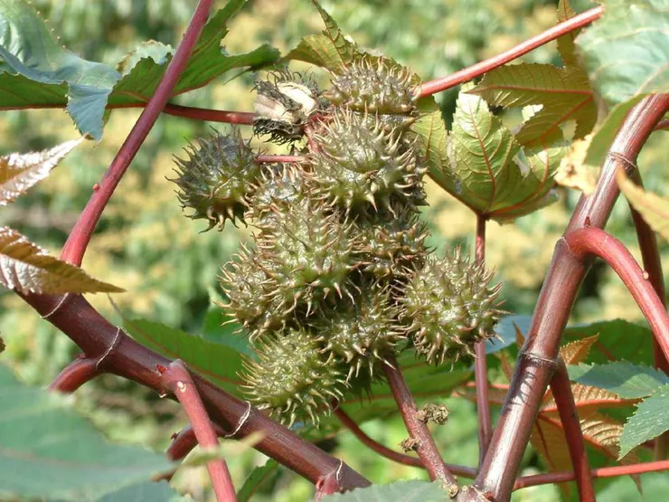 圖 / 佛光山佛陀紀念館、莊溪