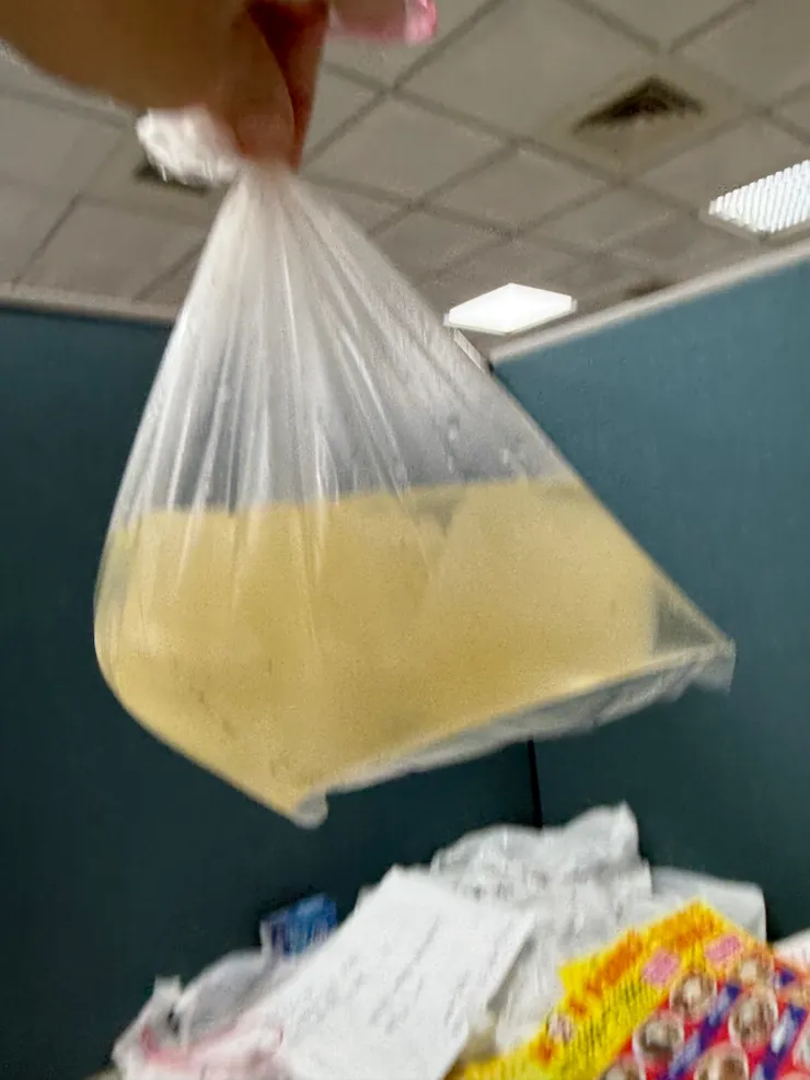 2025/10/31 菜頭湯