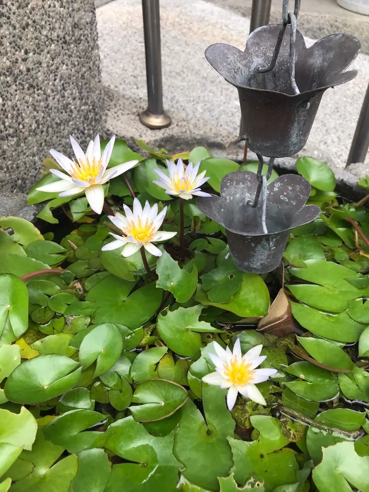 礁溪火車站外的滴水坊