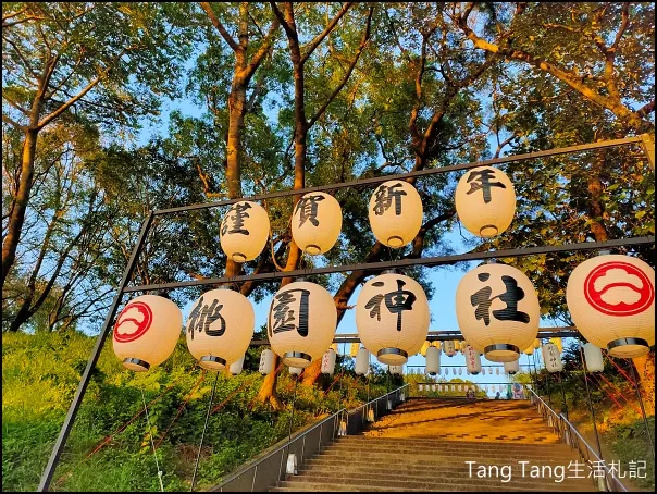 (2022.12.22  Tang Tang在桃園神社/井上豆花)