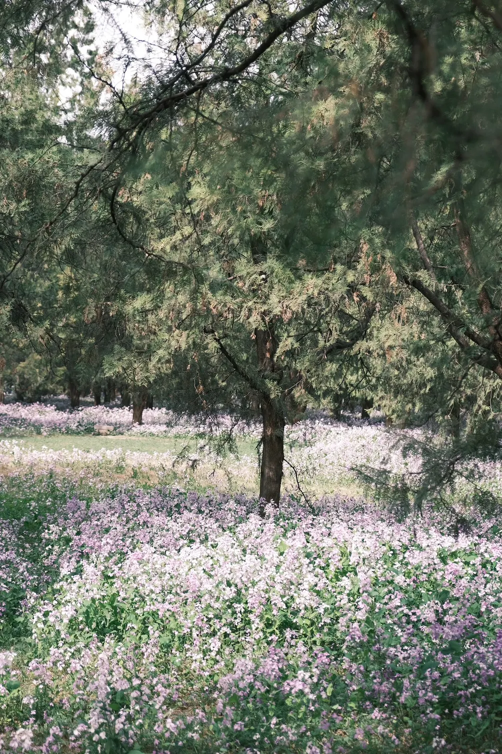 趴趴造學習筆記