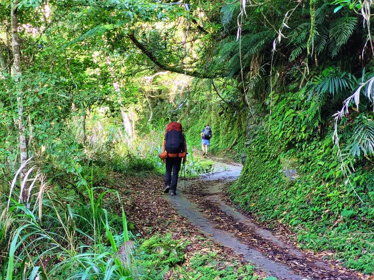 15:00終於結束3公里的之字型爬升(800公尺)，來到砂卡礑林道