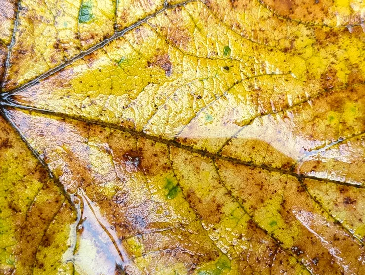 吃瓜，吃瓜，理智些；哀矜勿喜。