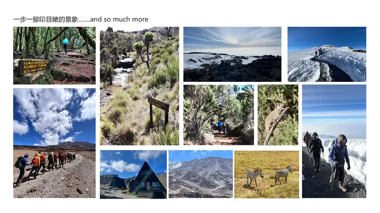 親眼目睹的景色