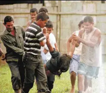 格里西瘋病「grisi siknis」