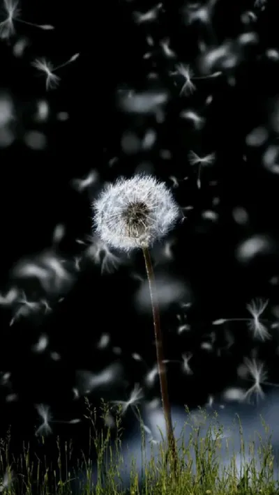 Weightless
失重的那一秒，我反而覺得自由