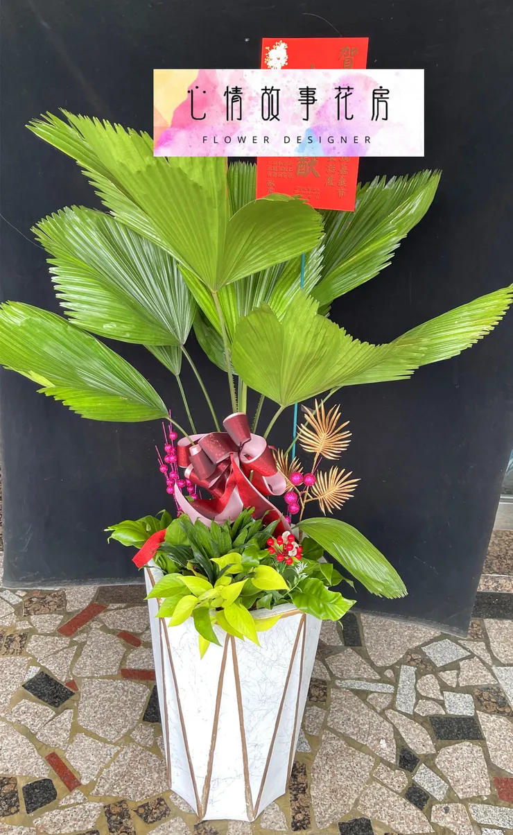 台南安南區花店【心情故事花房】：結合強健植栽的多樣化組合盆栽，為室內環境增添活力、美感與長久持續的健康生長