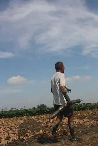 拾起大藕休息去，帝力於我何有哉！