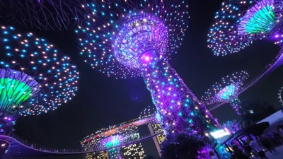 踢賴旅遊 Facebok 粉絲團