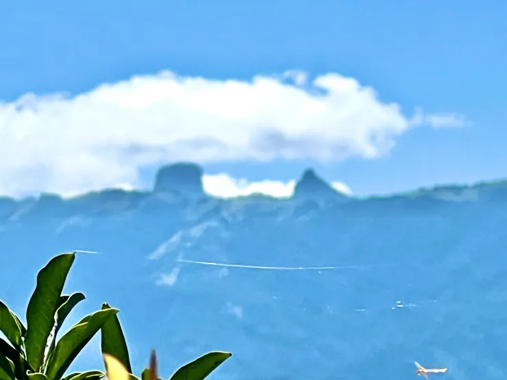 從榛山步道拍攝大霸尖山、小霸尖山，意外聚焦到蜘蛛絲、蜻蜓。