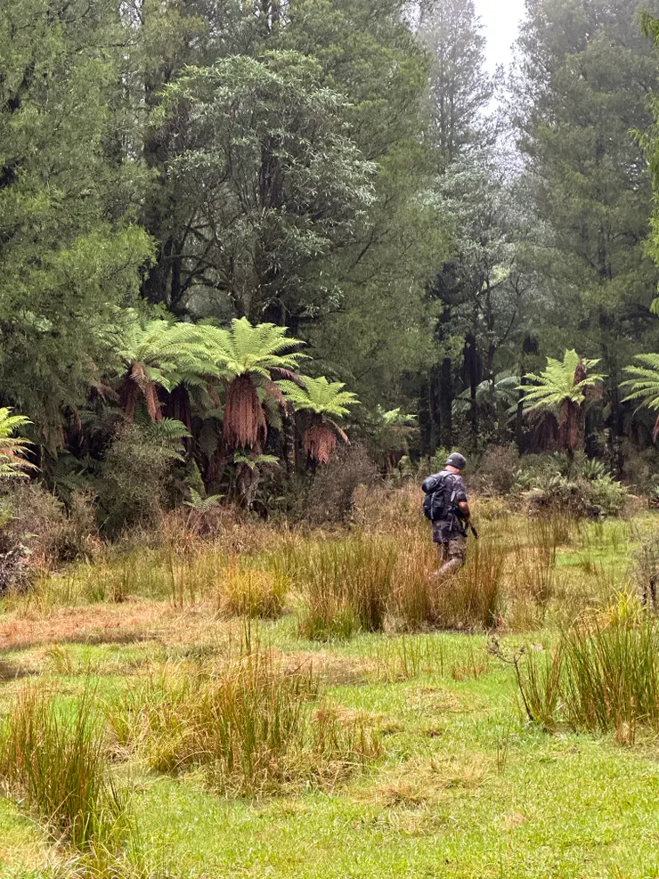 沒有鹿的水源地