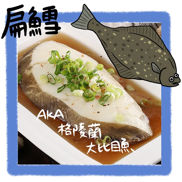 時常被拿來作為扁鱈販售的「格陵蘭大比目魚」。