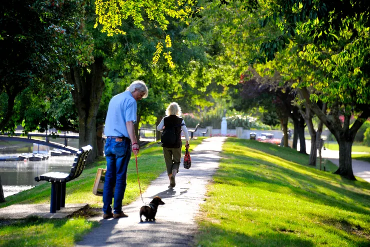 【改做公園閒步蹓狗划船或垂釣】