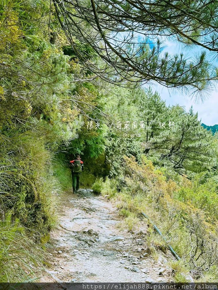 【2024夏。高繞上奇萊南華2天1夜】雲天宮出發高繞路線4.