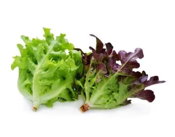 圖片來源:蝦皮賣家268菜園