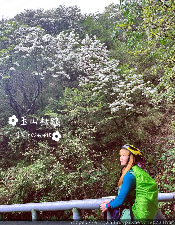 【玉山主峰西峰.兩天兩夜】南投縣信義鄉的望鄉部落艾度民宿/塔