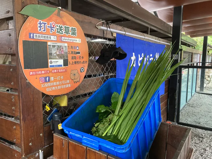 打卡換免費牧草跟桑葉