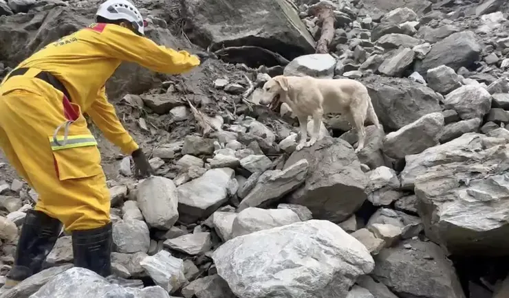 圖片來源:搜救隊