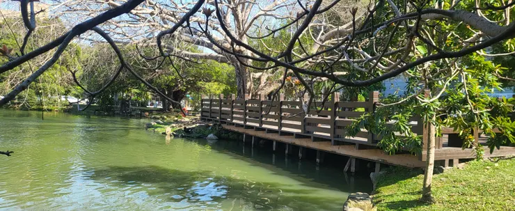 興大校園(李建崑攝影)