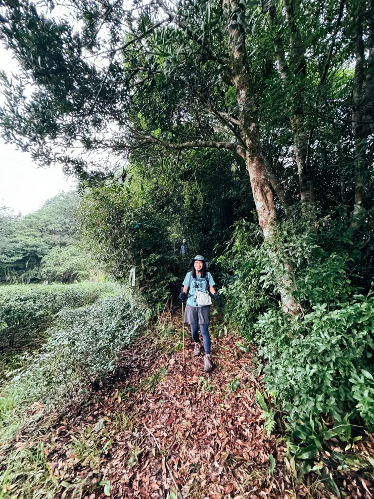 從低陸山花了3個半小時回到登山口。完登！！🤭