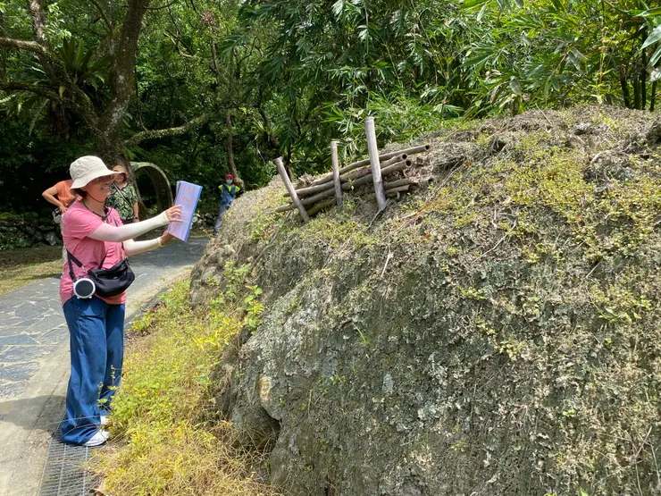 取自天然材料的擋土牆