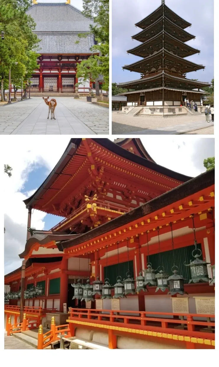 奈良景點  #圖片來自Pinterest