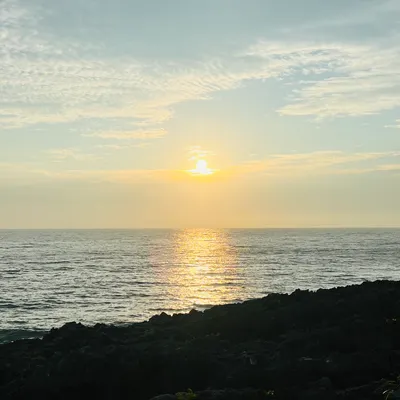 鳳梨的心靈天地的沙龍