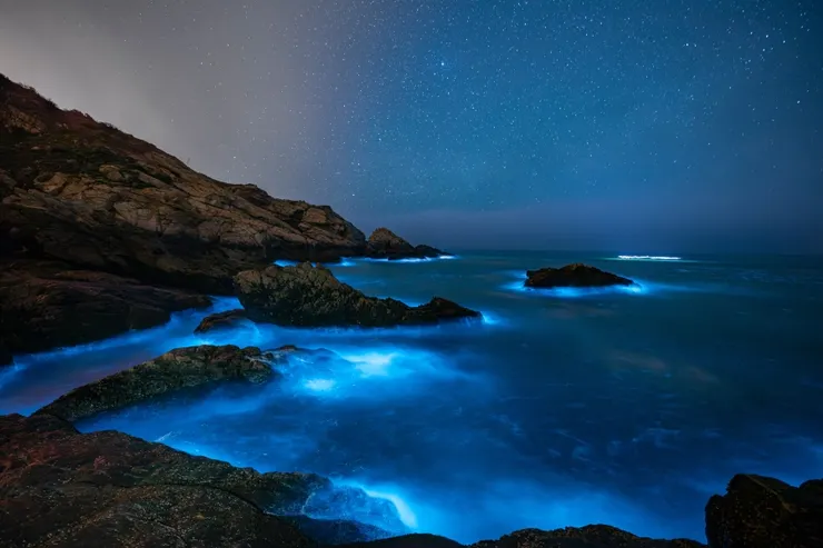 Source：Shutterstock