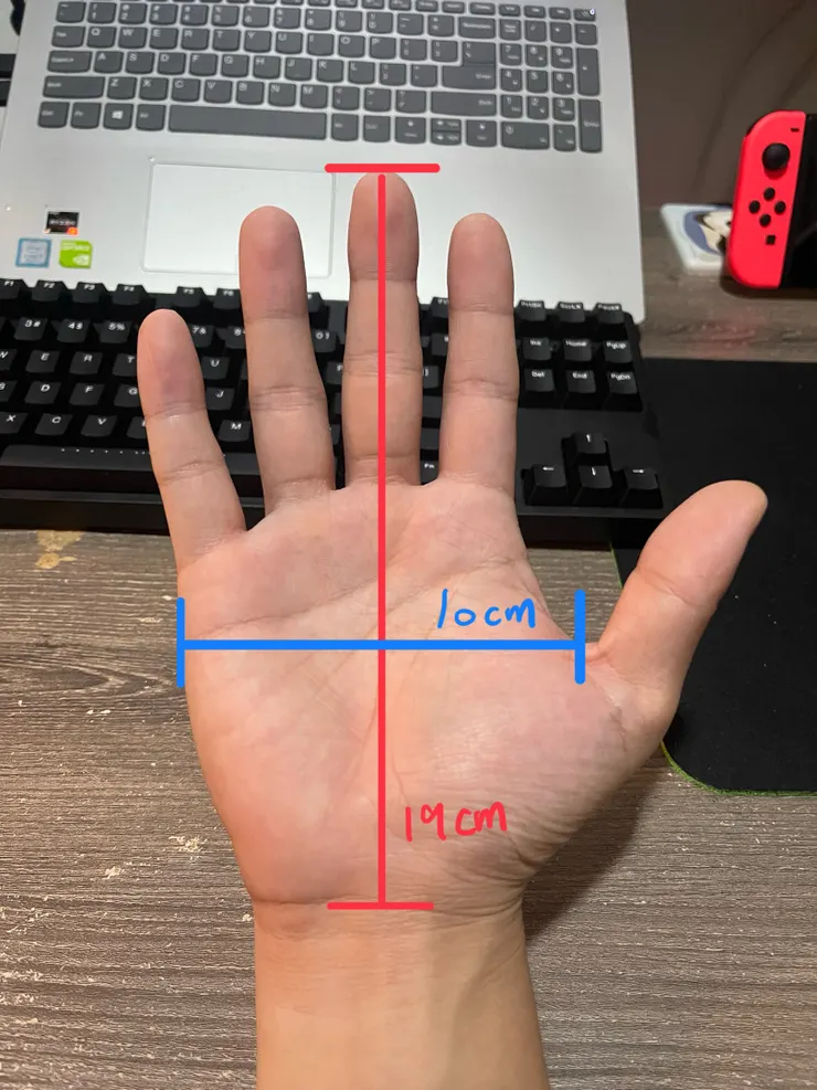 手的大小