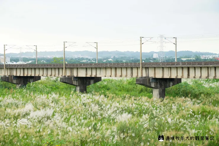 鐵路高架橋與花海山景