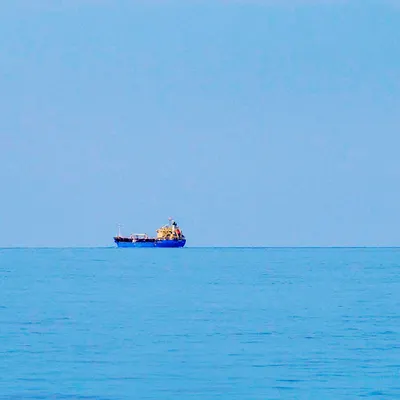 海豬與山的沙龍