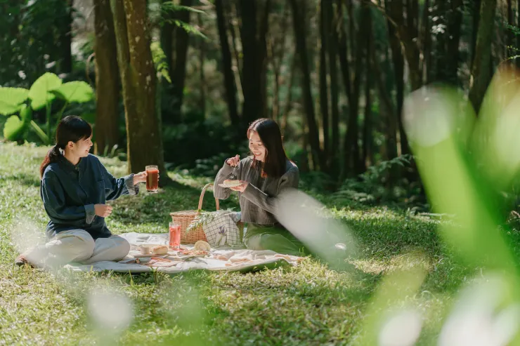 森林光影間，旅人靜靜享受一場野餐時光。