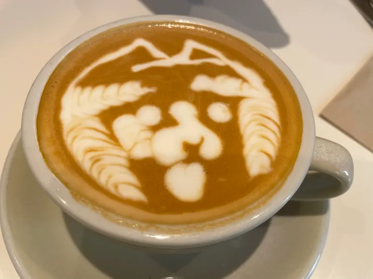 這個拉花，我想應該是柴犬嗎？（作者拍攝）