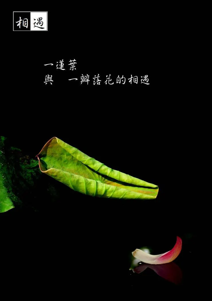 麻吉的圖文創作